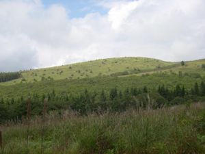 n֌rŎBei